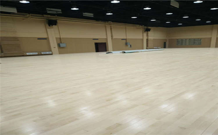 學校乒乓球館木地板**是多少錢?