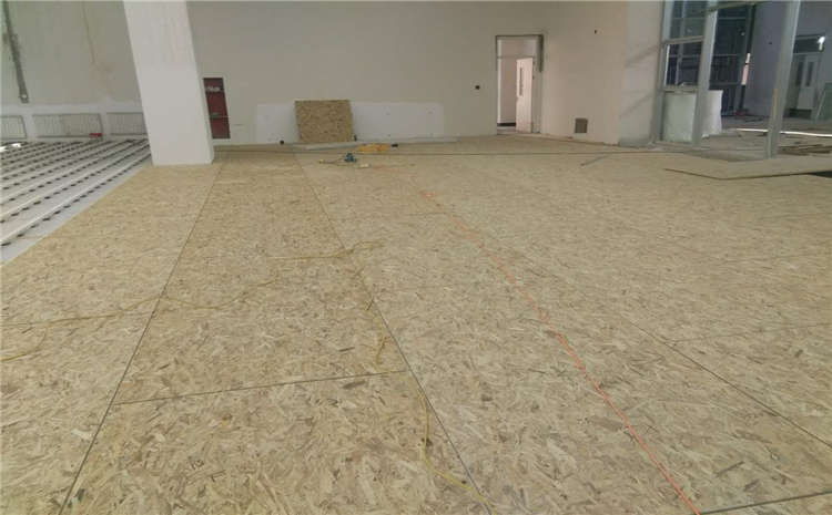 楓樺木體育運動地板批發