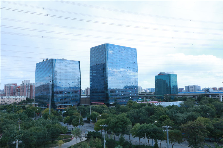 實木運動地板施工團(tuán)隊